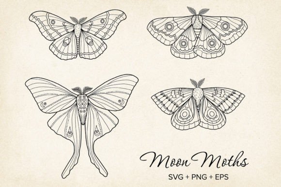 Download Moth &amp; Butterfly SVG Vector, Hand-drawn - Vector Collection